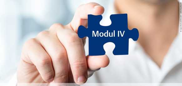 Modul 4: Berufspädagogisches Web-Seminar