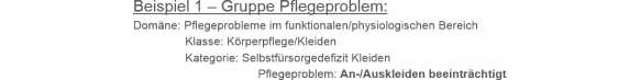 Präkombinatorische ENP-Pflegediagnosen