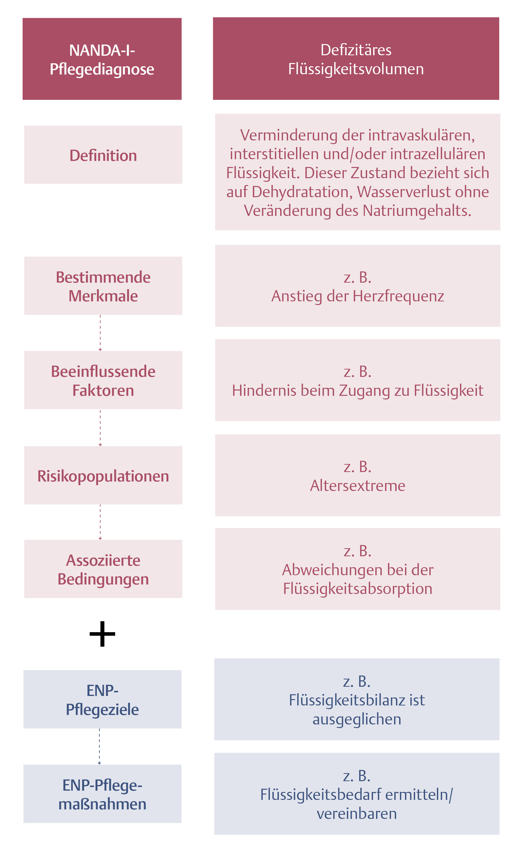 Pflegeklassifikation Nanda I Plus Offizieller Pflegeklassifikation Nanda I Plus Offizieller